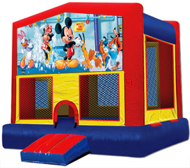 Birthday Party Inflatable Bouncer Rentals in Adams